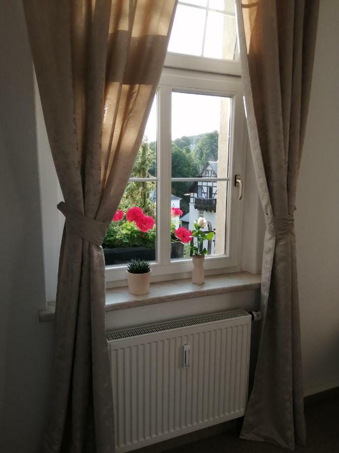 Ferienwohnung Haus Zedtwitz Bad Elster Exterior foto